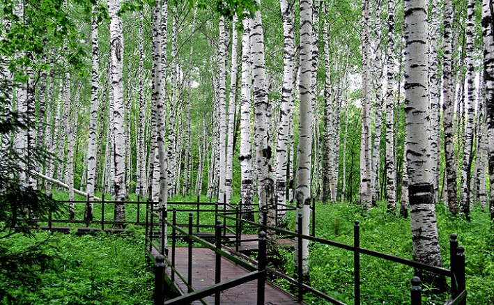 黑龙江景点小众,黑龙江冷门景点