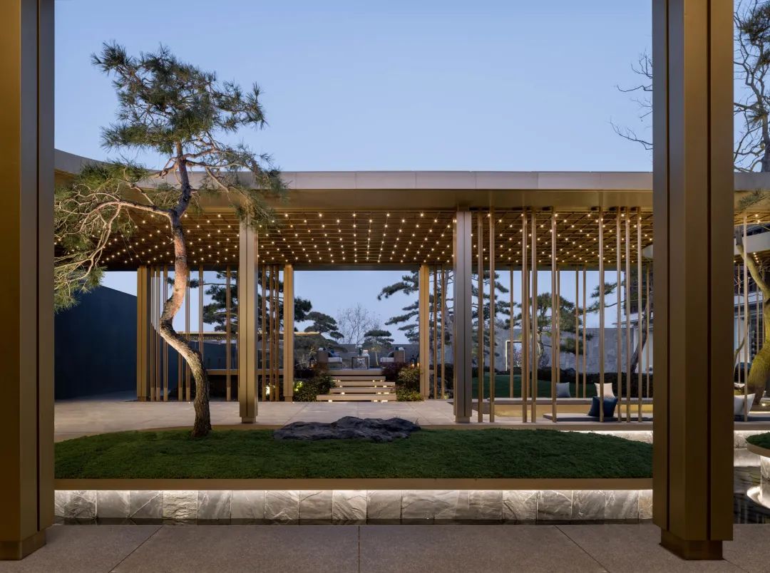 松树的文化内涵和精神品质,松树给人什么样的美感