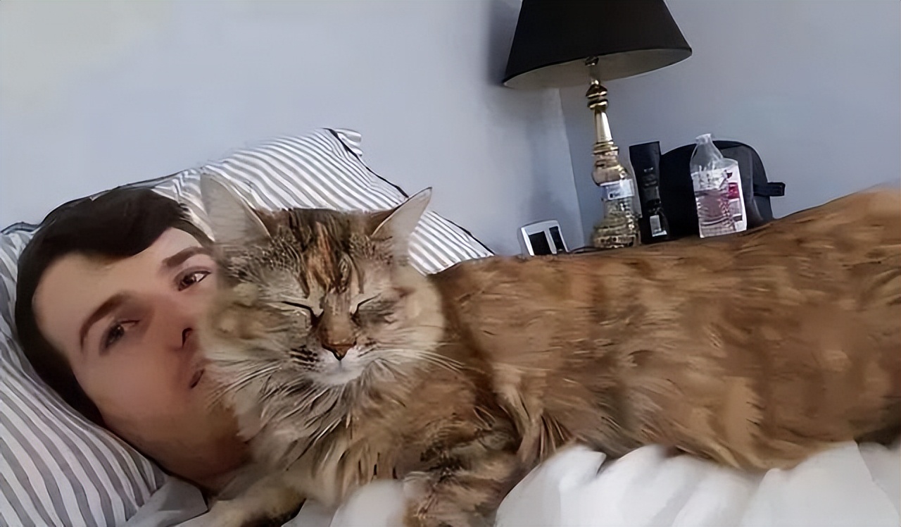 跟猫咪睡觉要注意哪些问题,和猫咪睡觉有什么要注意的