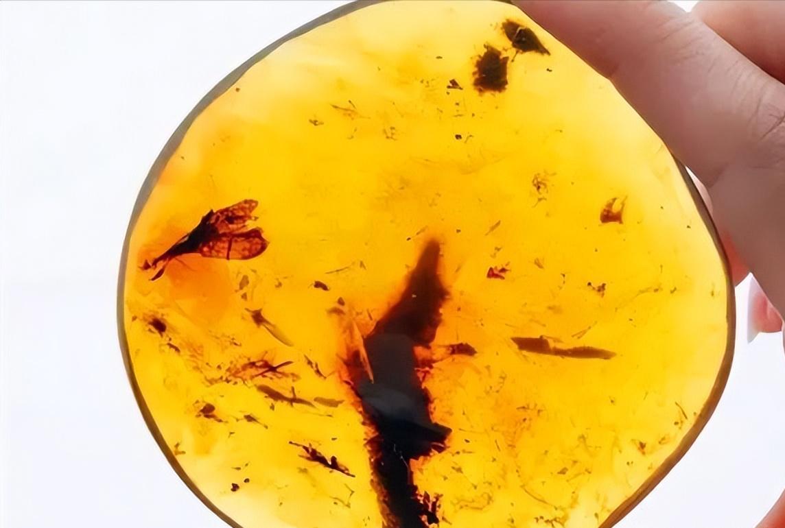 琥珀里有黑点是瑕疵吗,琥珀的瑕疵可以盘掉吗
