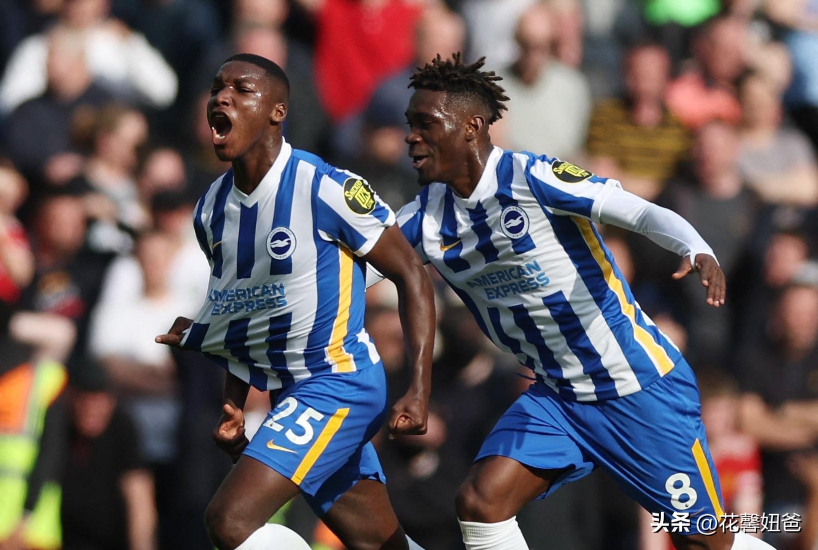 卡塔尔世界杯厄瓜多尔,卡塔尔厄瓜多尔赛事讲解