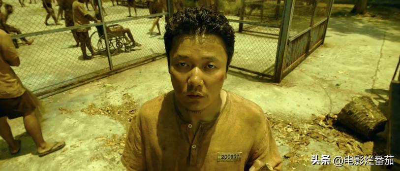 10部好片,诞生了多部叫好又叫座的佳片