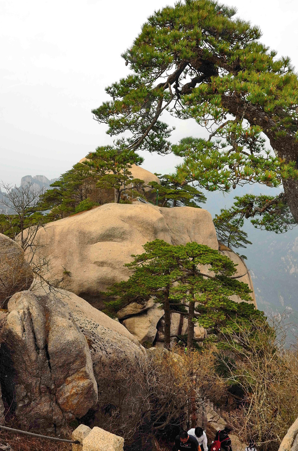 黄山天都峰会走鲫鱼背吗,黄山天都峰鲫鱼背第一视角