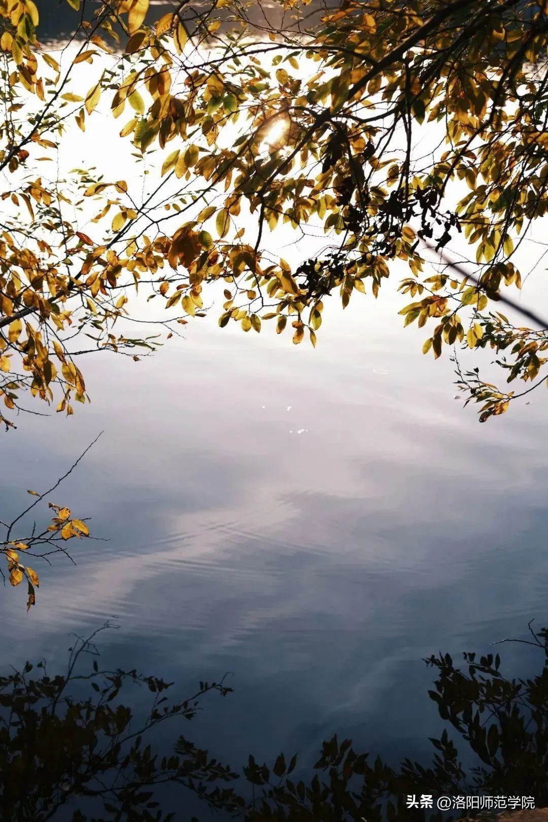 当洛师邂逅43种中国传统色……