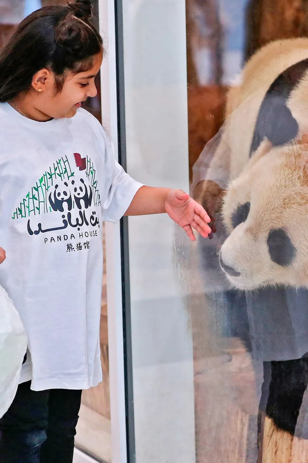 我真的太爱熊猫了，难不成上辈子是根竹子？