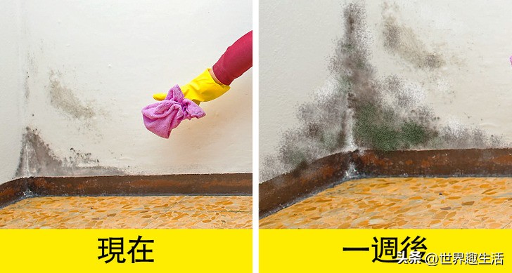 几个实用又方便的居家实用小技巧,实用有趣的居家小妙招