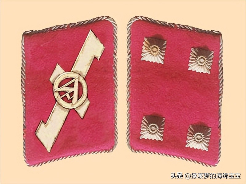 纳粹冲锋队用的什么枪,纳粹德军军衔图解