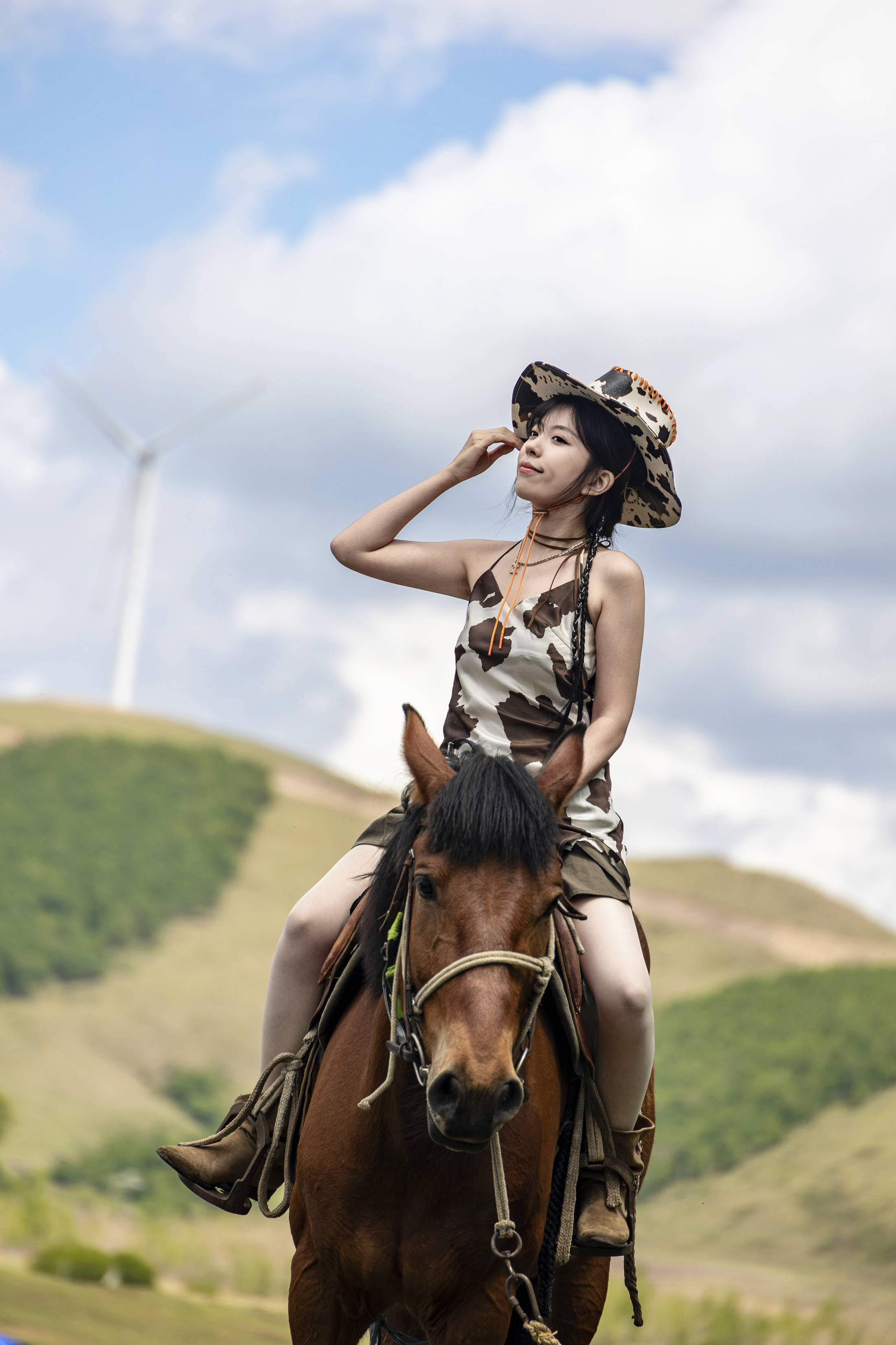 丰宁坝上草原的夏天,丰宁坝上草原夏天景色