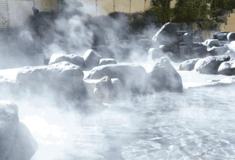 随“泉”而行随心所“浴”