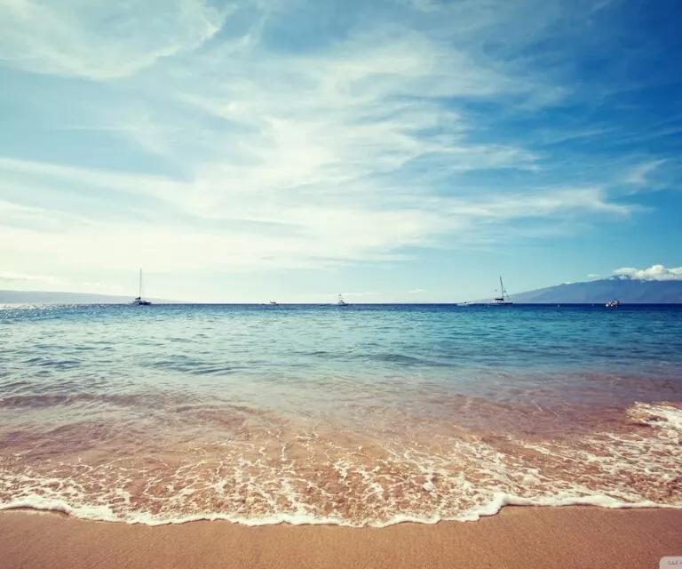 仲夏夜之梦直播间,仲夏之梦