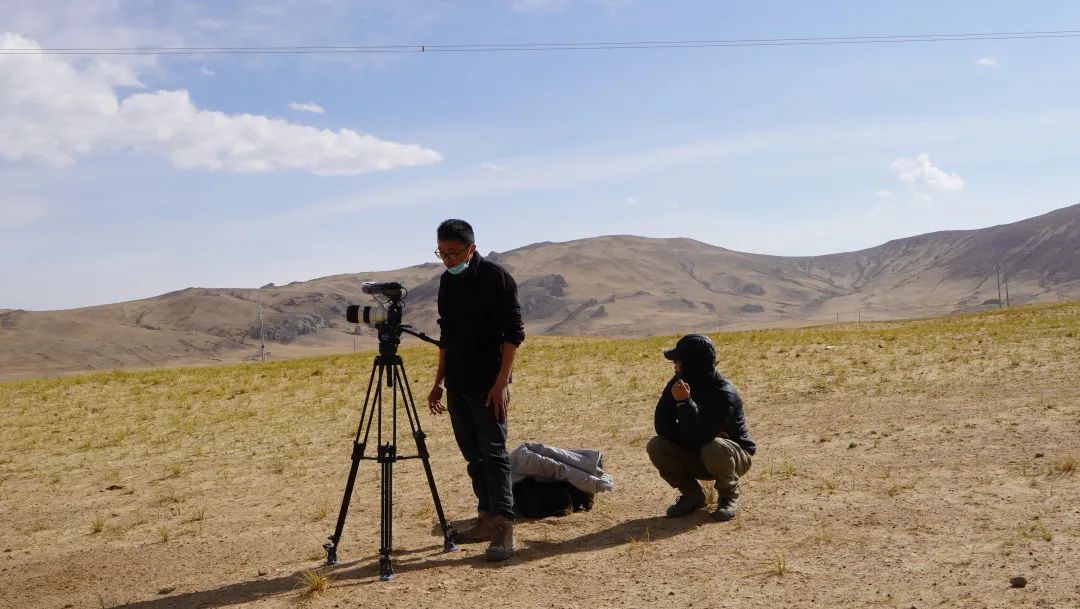 我国海拔最高的输变电工程,世界海拔最高的输变电工程