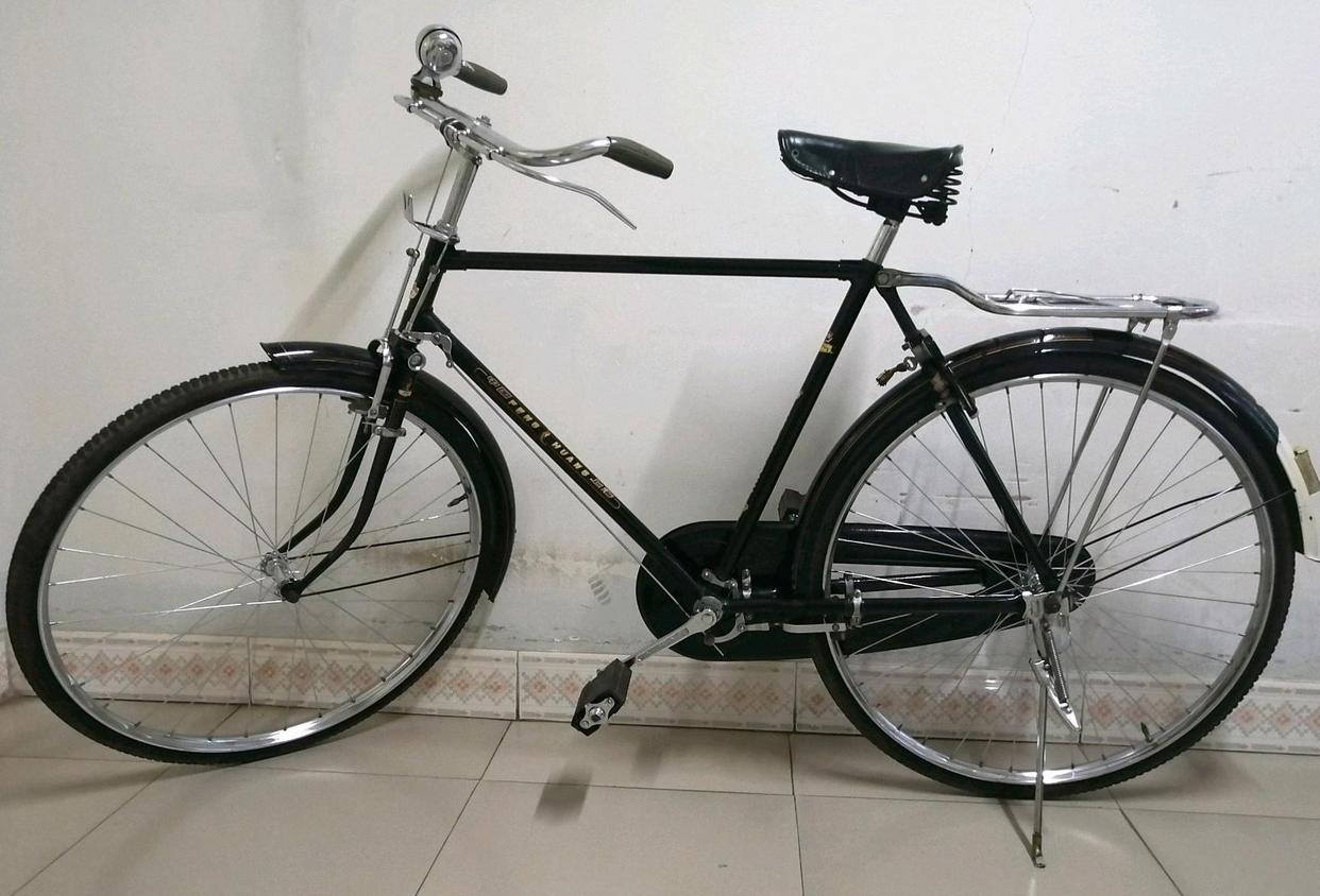 凤凰自行车21年利润,凤凰自行车一年营收