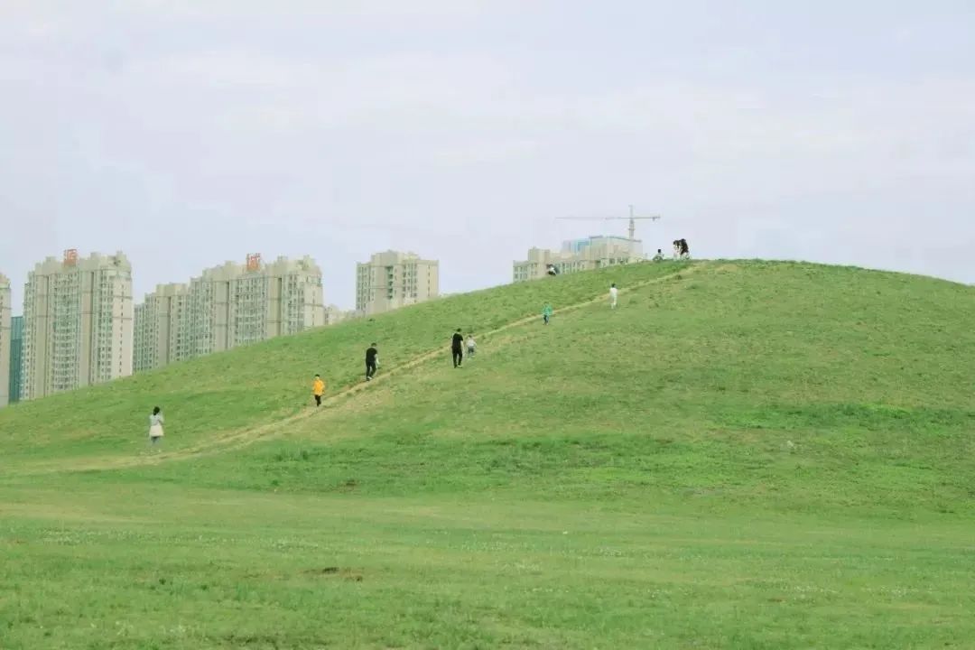 高段位神仙打架,神仙打架高端局和平精英