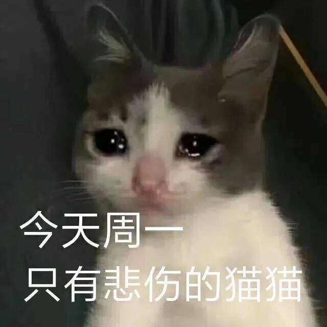 周一早安问候表情包,又到了周一表情包