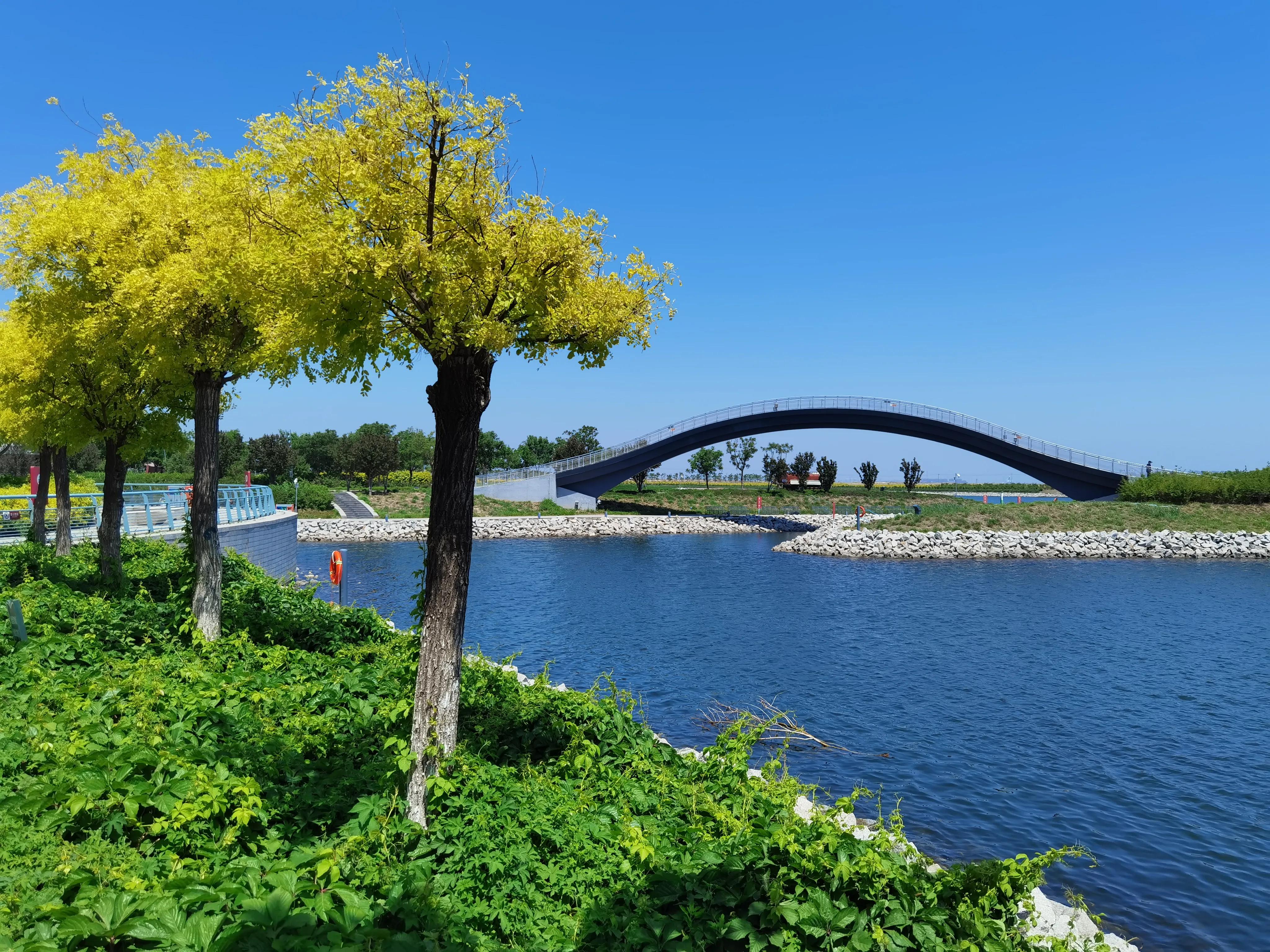 南湾海洋动物公园,国家海洋博物馆和南湾公园哪个好