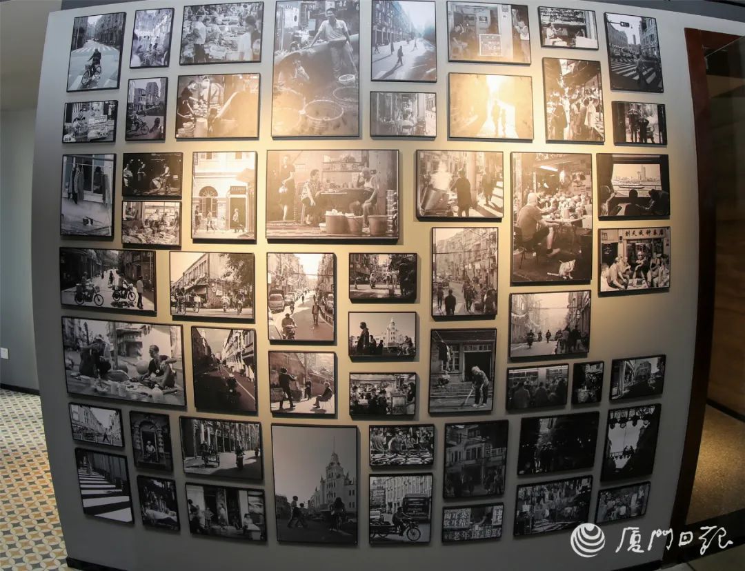 开棺免费完整版在线观看,呼和浩特体育馆免费开馆