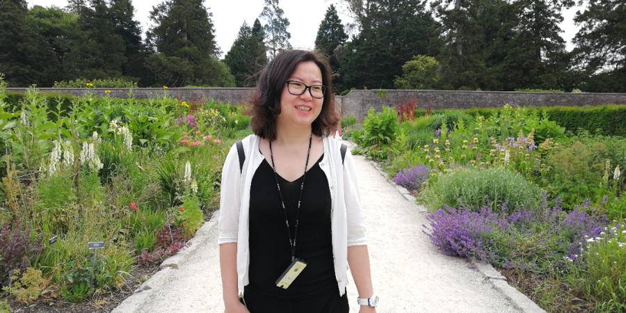 滕肖澜作品倾国倾城,倾国倾城滕肖澜txt在线阅读