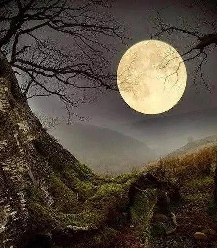 为何现在人不愿意生孩子,为什么现代人不愿意生孩子