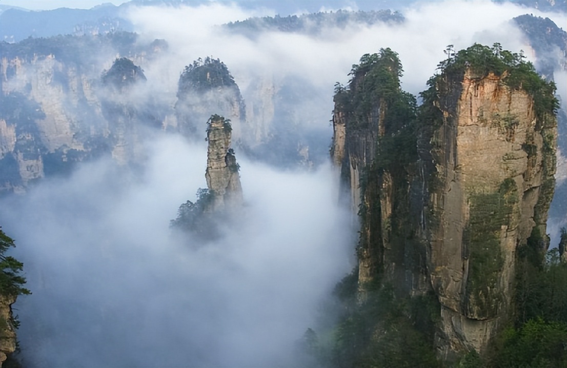 2010年阿凡达在中国票房达到多少,阿凡达2帕尔坎被误会