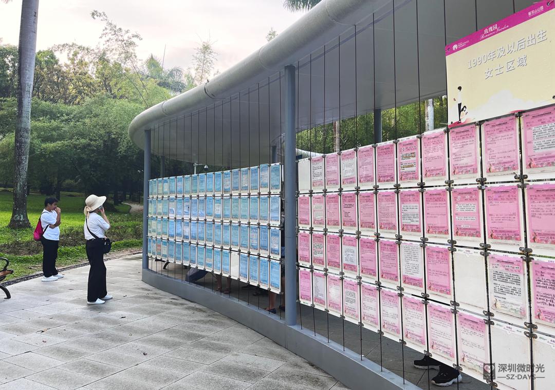 莲花山相亲角案例,莲花山相亲角成功几率