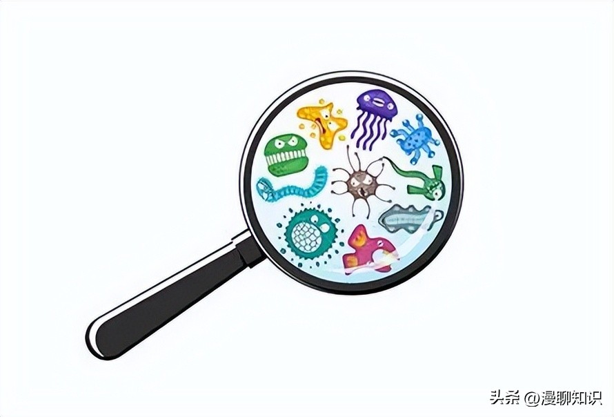 马传染性子宫炎传染性较强，它的传播途径有哪些