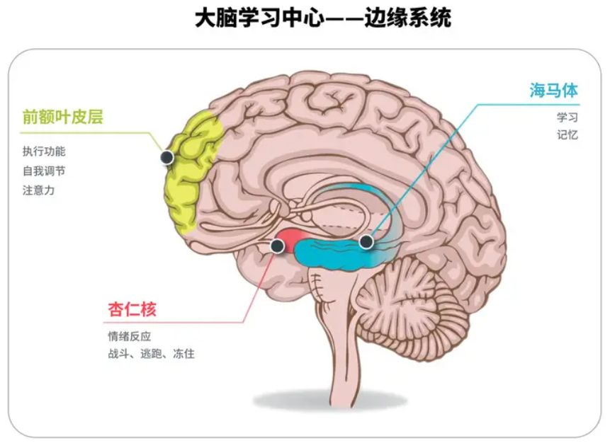 小学生几点睡觉有利于学习好,上学的孩子晚上几点休息最好