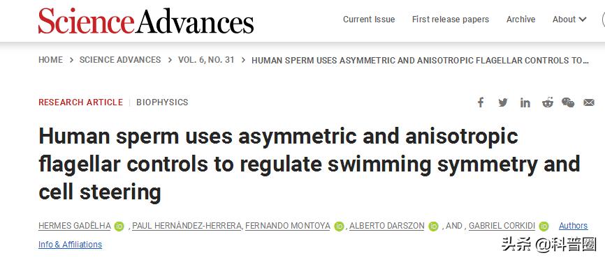 科学家精子运动违背牛顿第三定律,科学家发现精子的作用
