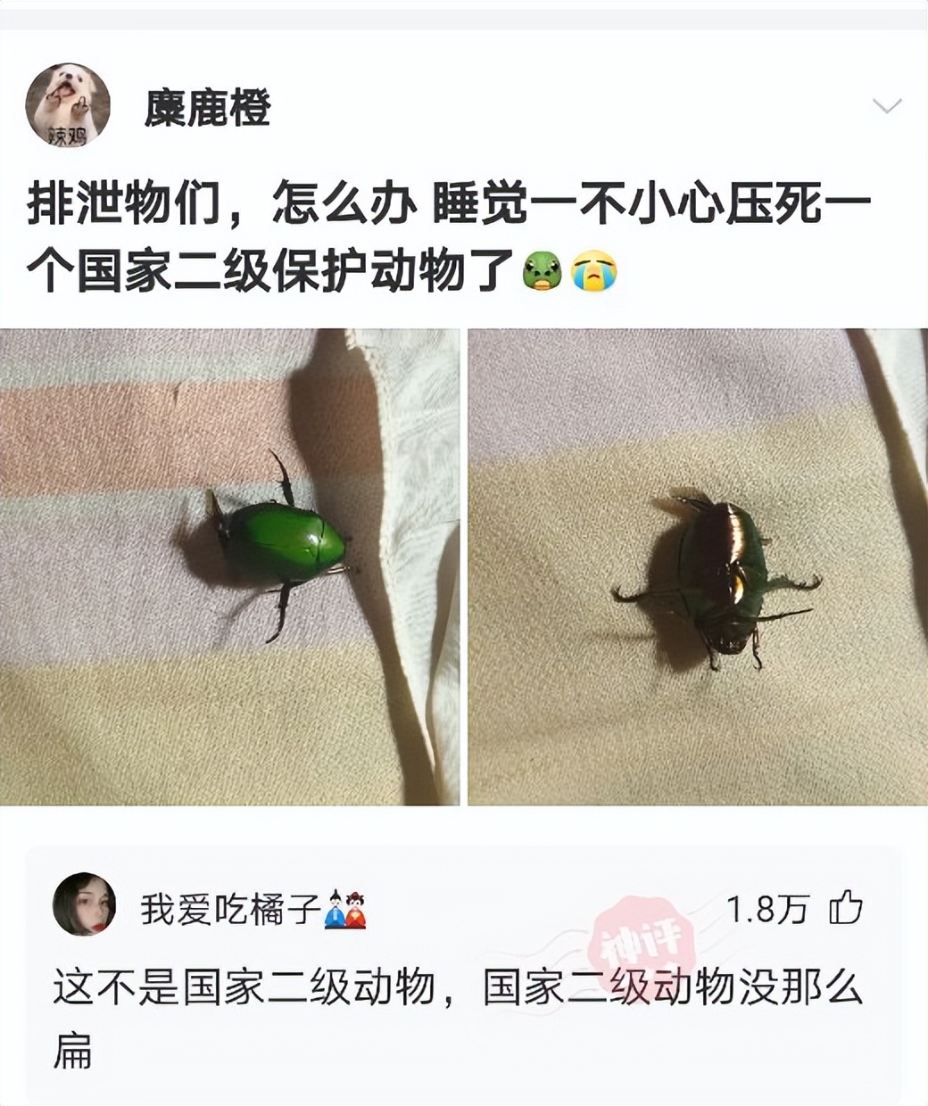 人死为什么叫死鬼,人死后为什么叫死鬼呢