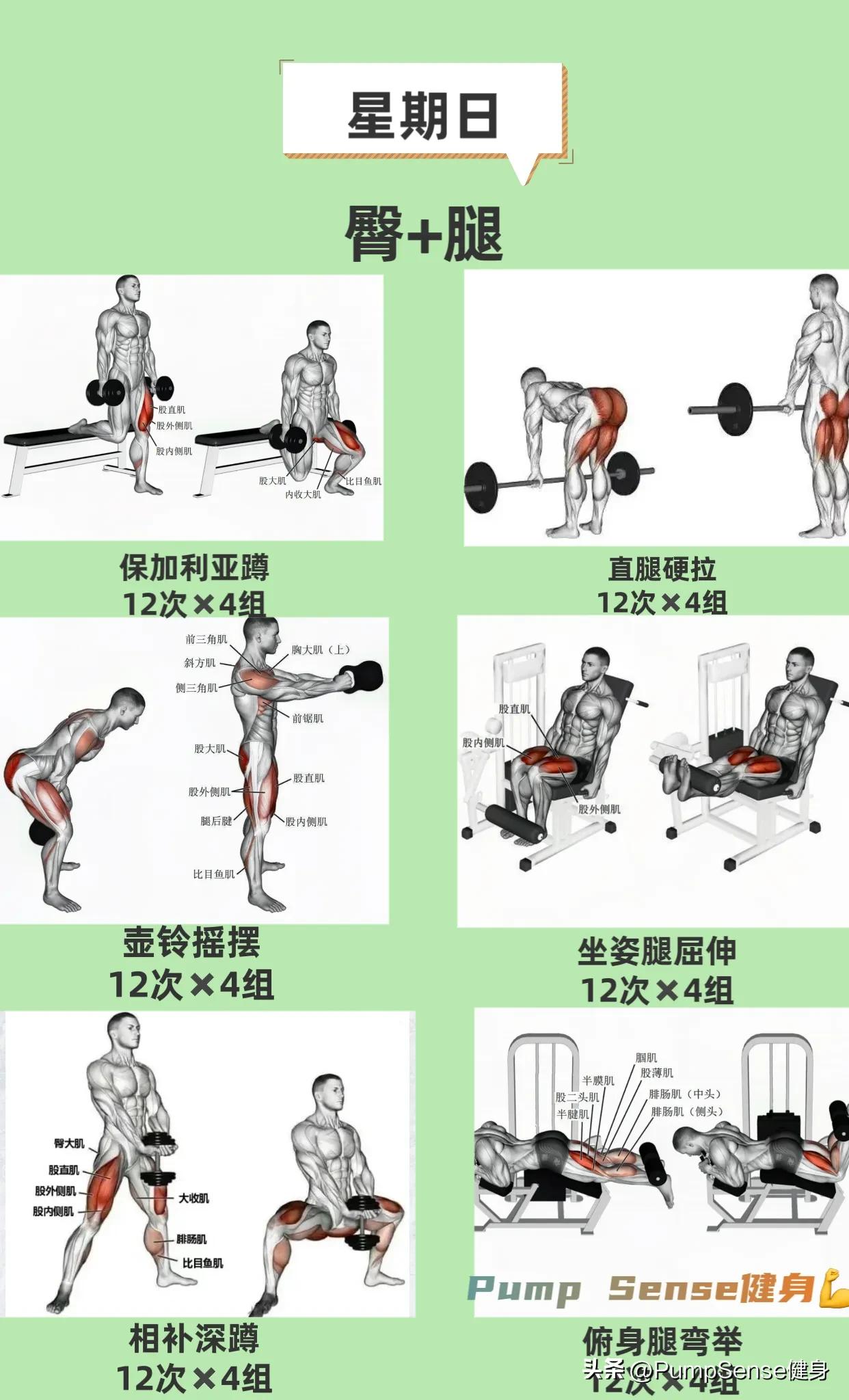 新手健身计划app,新手健身计划怎么写