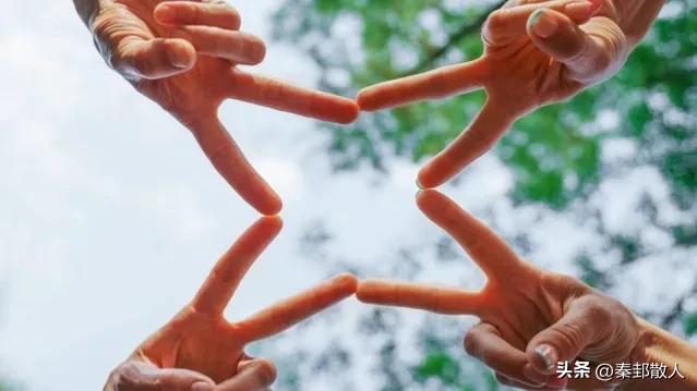 论团队的重要性完整视频,论团队建设的培训心得