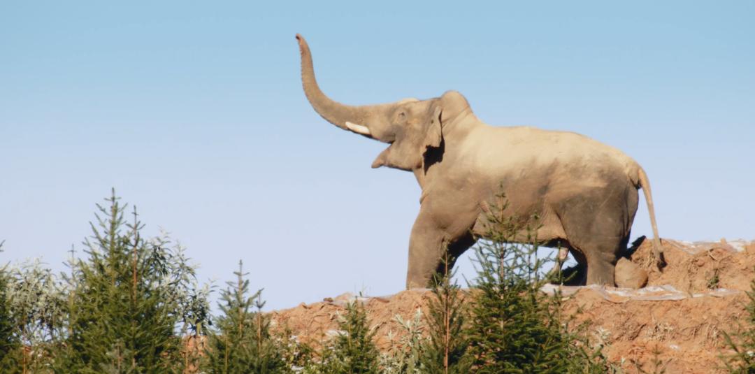 中国人冒死拍的纪录片,一群中国人冒死拍摄