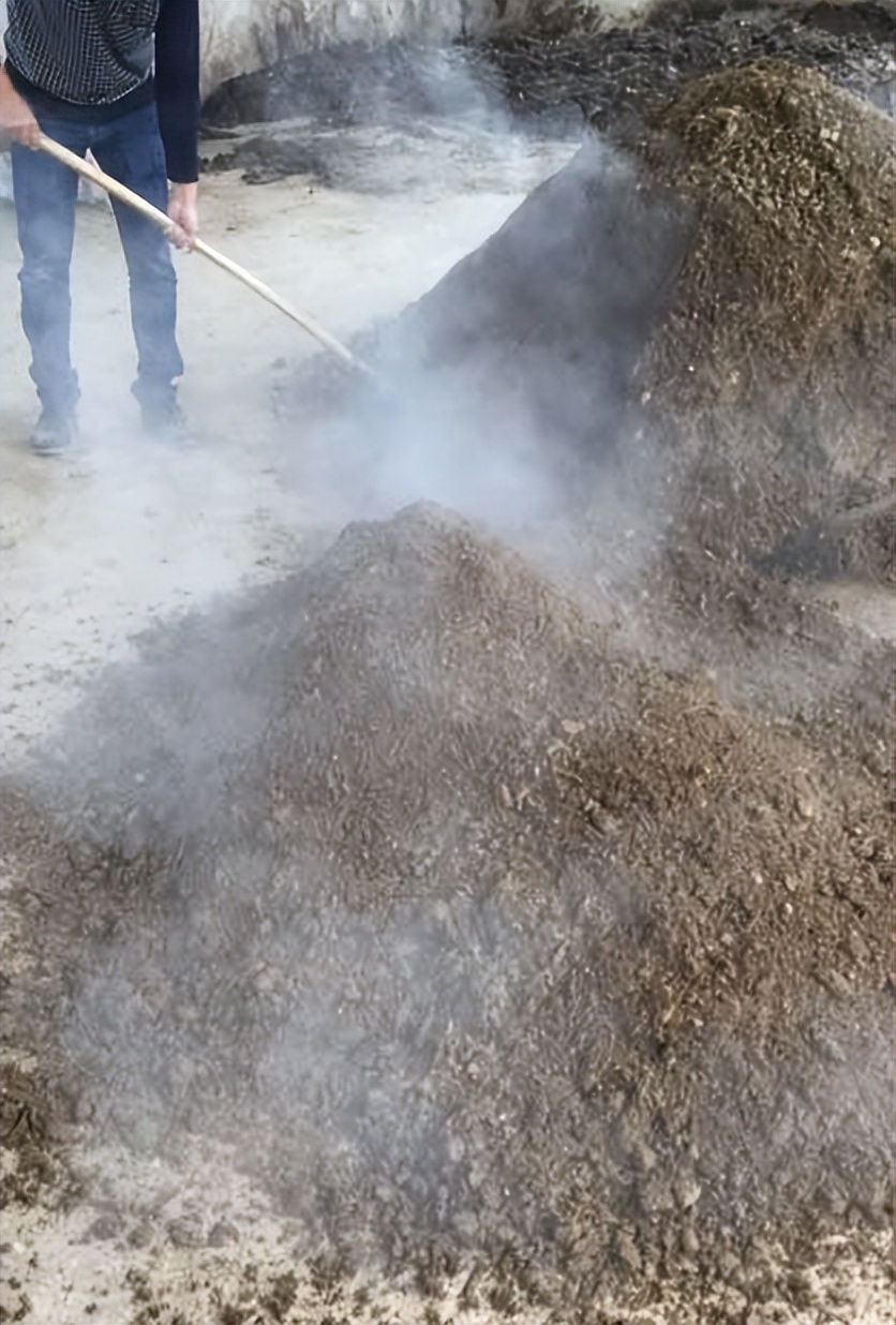 猪场被投诉有气味怎么办,家附近养猪场很臭怎么举报