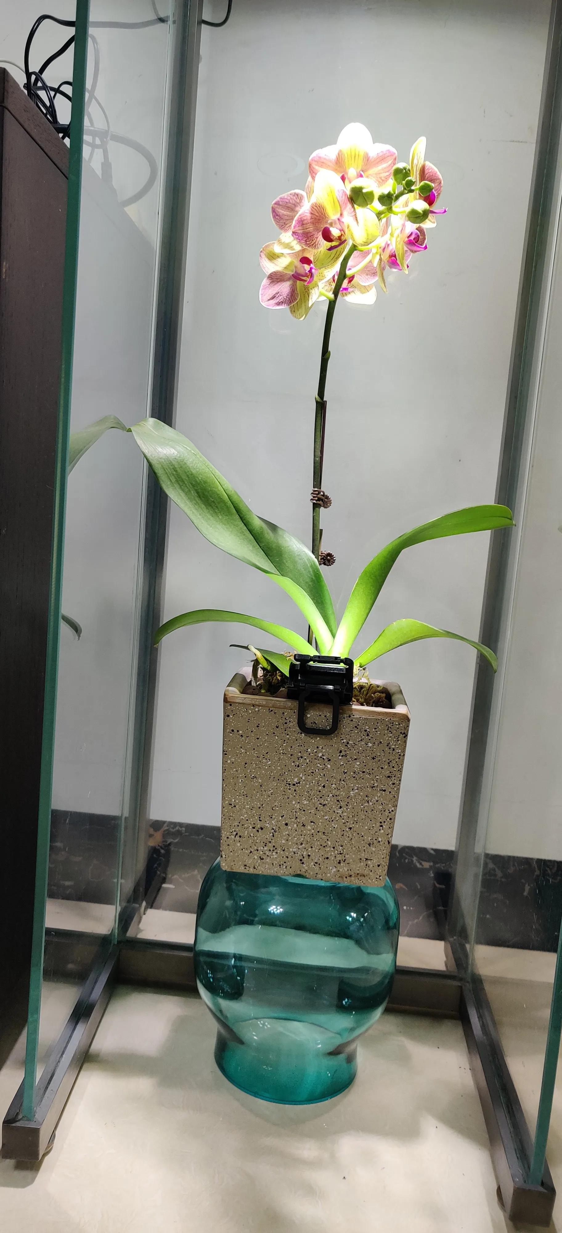 手机柜台展示柜新型,手机展示柜改造翻新创意