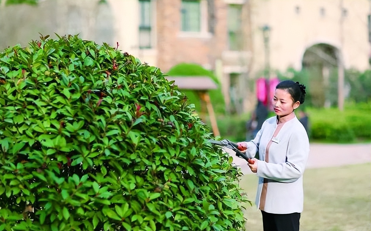 住宅物业靠什么赚钱,楼盘物业靠什么盈利