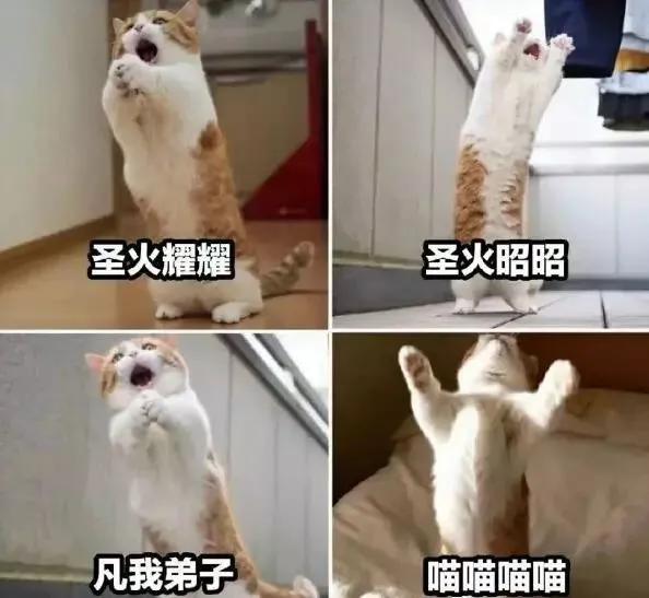 2022年有什么好玩的仙侠游戏,2022年手游游戏排行榜前十名