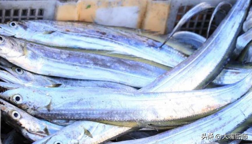 买带鱼买黑眼的还是黄眼的好,买带鱼选黑眼还是黄眼