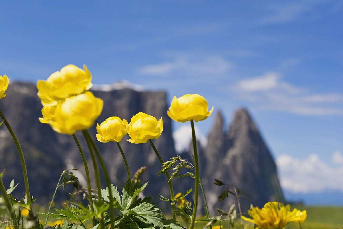 肺腺癌晚期骨转移放疗后有效果吗,肺腺癌晚期骨转移要放疗多少次