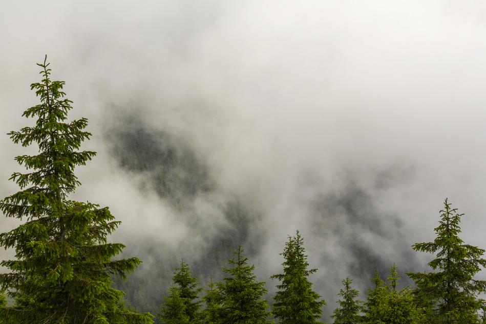 李商隐的夜雨寄北写于何年,李商隐的夜雨寄北表达什么