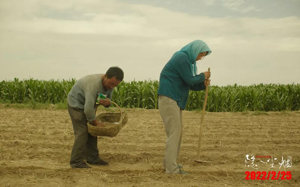 赶在下映前看电影,赶在上班之前去看场电影