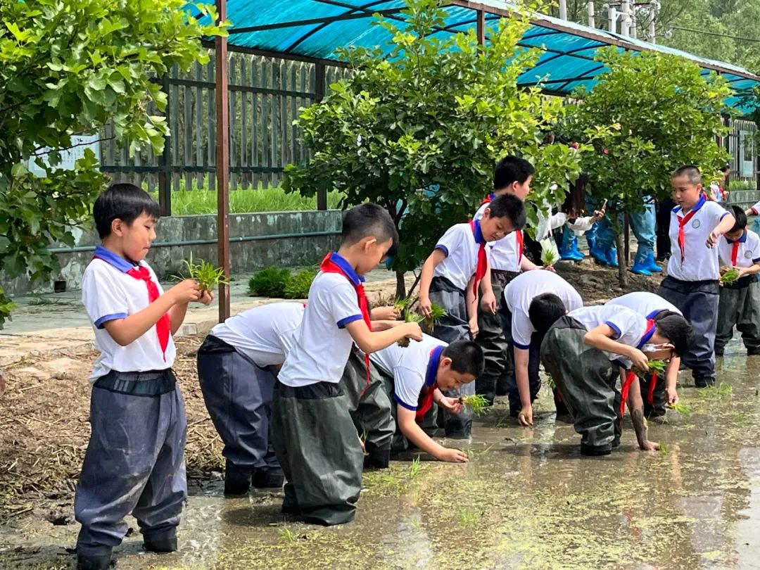 石景山区爱乐实验小学,石景山爱乐实验小学怎么样