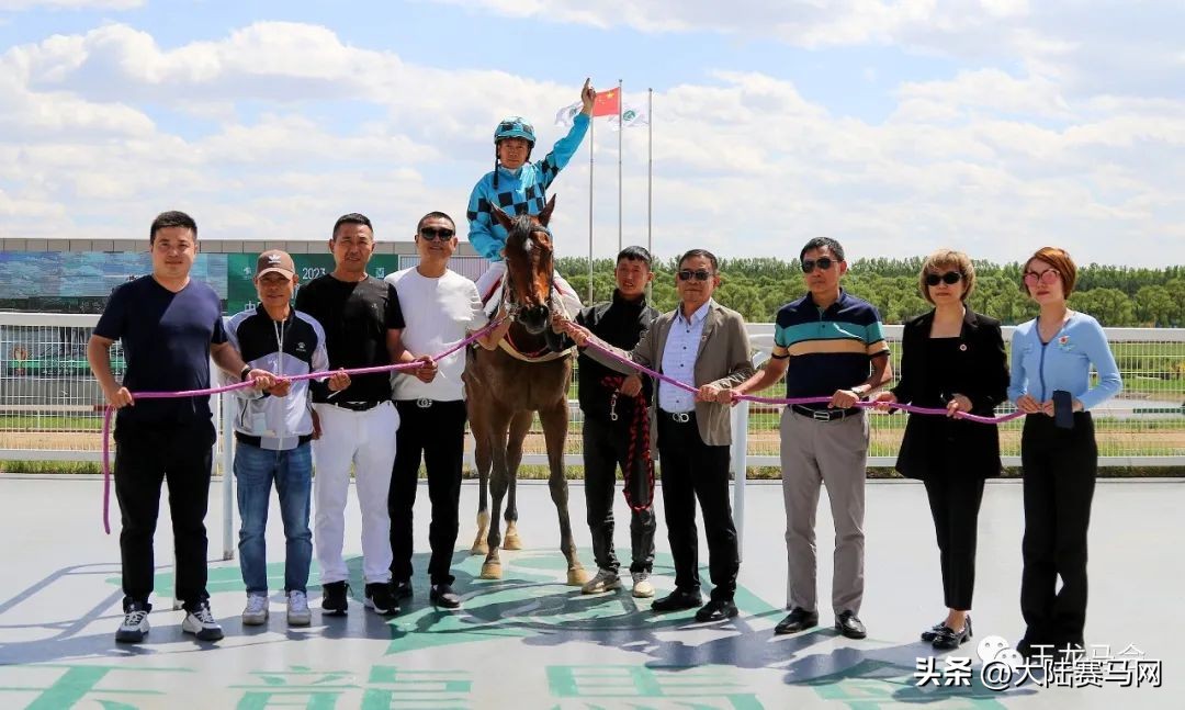 2023中国马主联盟杯,中国马主联盟报名时间