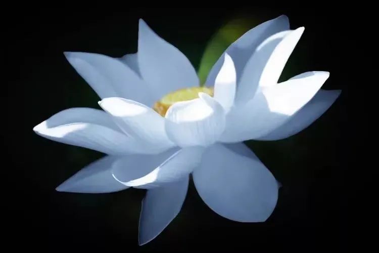 十二种梦预示贵人来临,人做的梦到底意味着什么