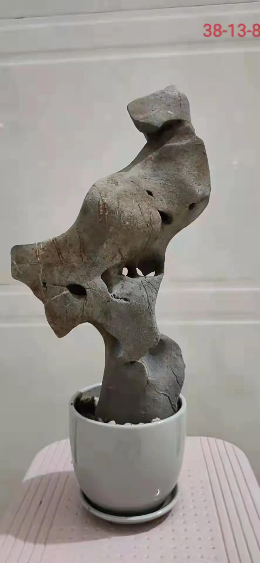 天然太湖石原石小摆件直播,太湖石原石用什么抛光