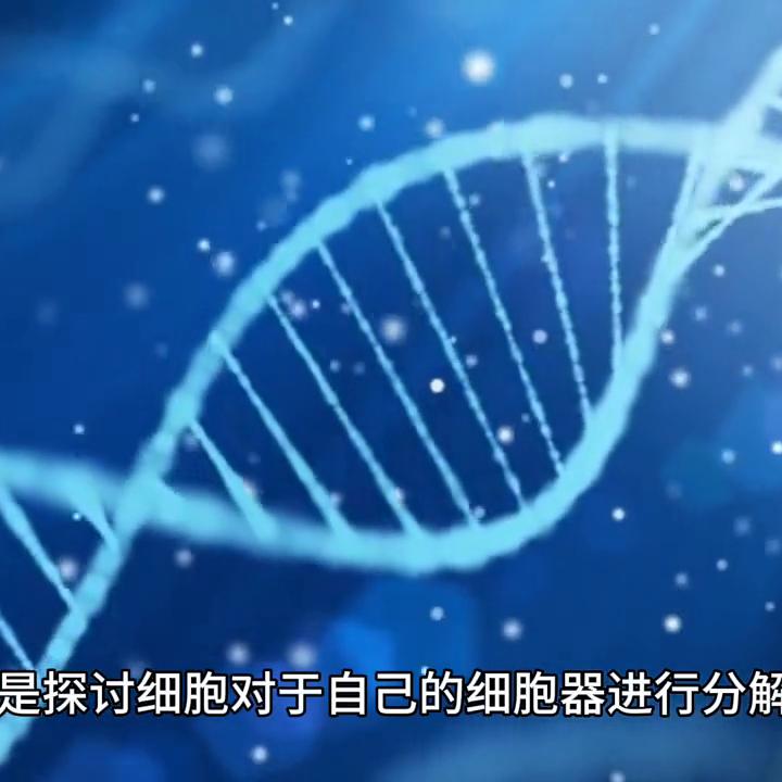 人参皂苷的抖音,关于有人参皂苷的抖音