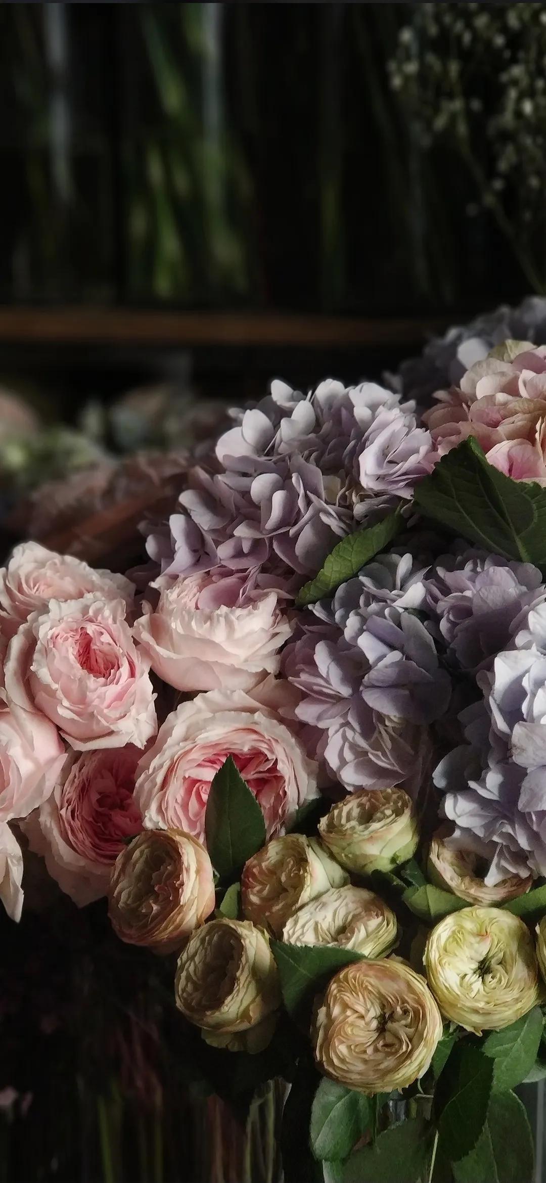 高清壁纸全面屏手机,围棋壁纸高清全面屏