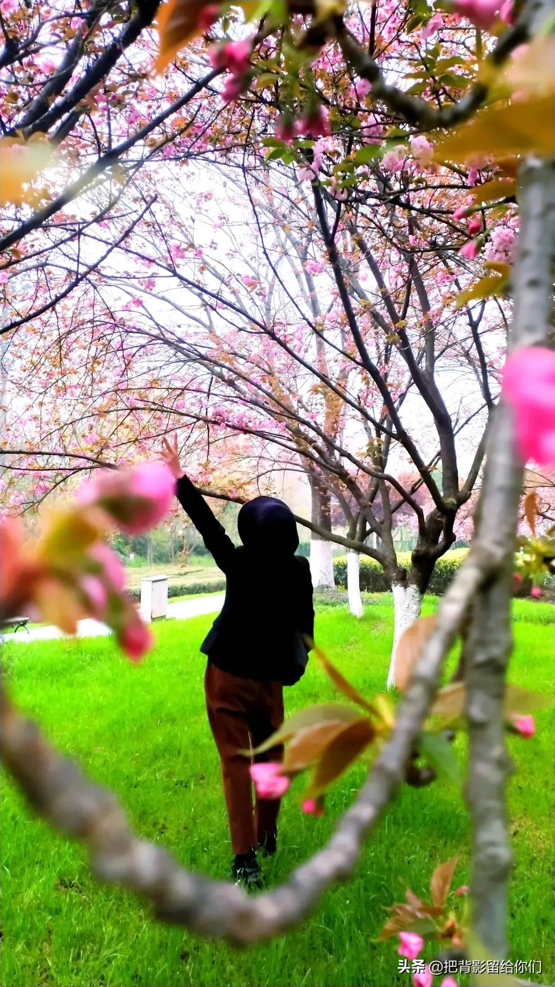 我的大南京，你这是怎么了？