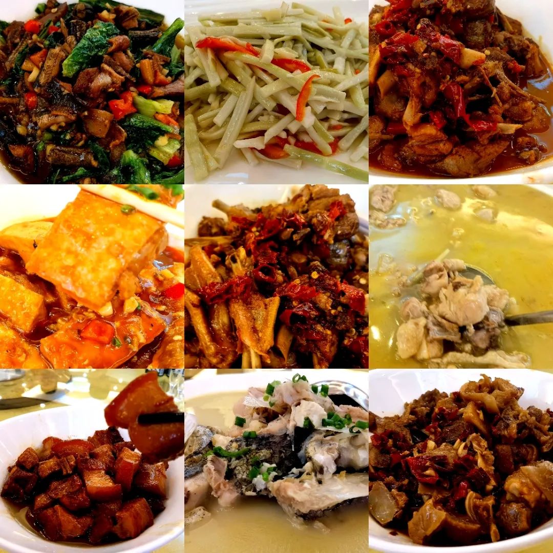 哈雷车主会福州分会,哈雷hog车主会八周年庆典巡游