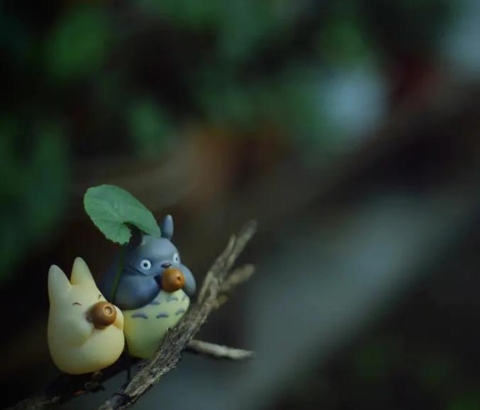 龙猫这部电影告诉我们什么,龙猫深度解析动画电影