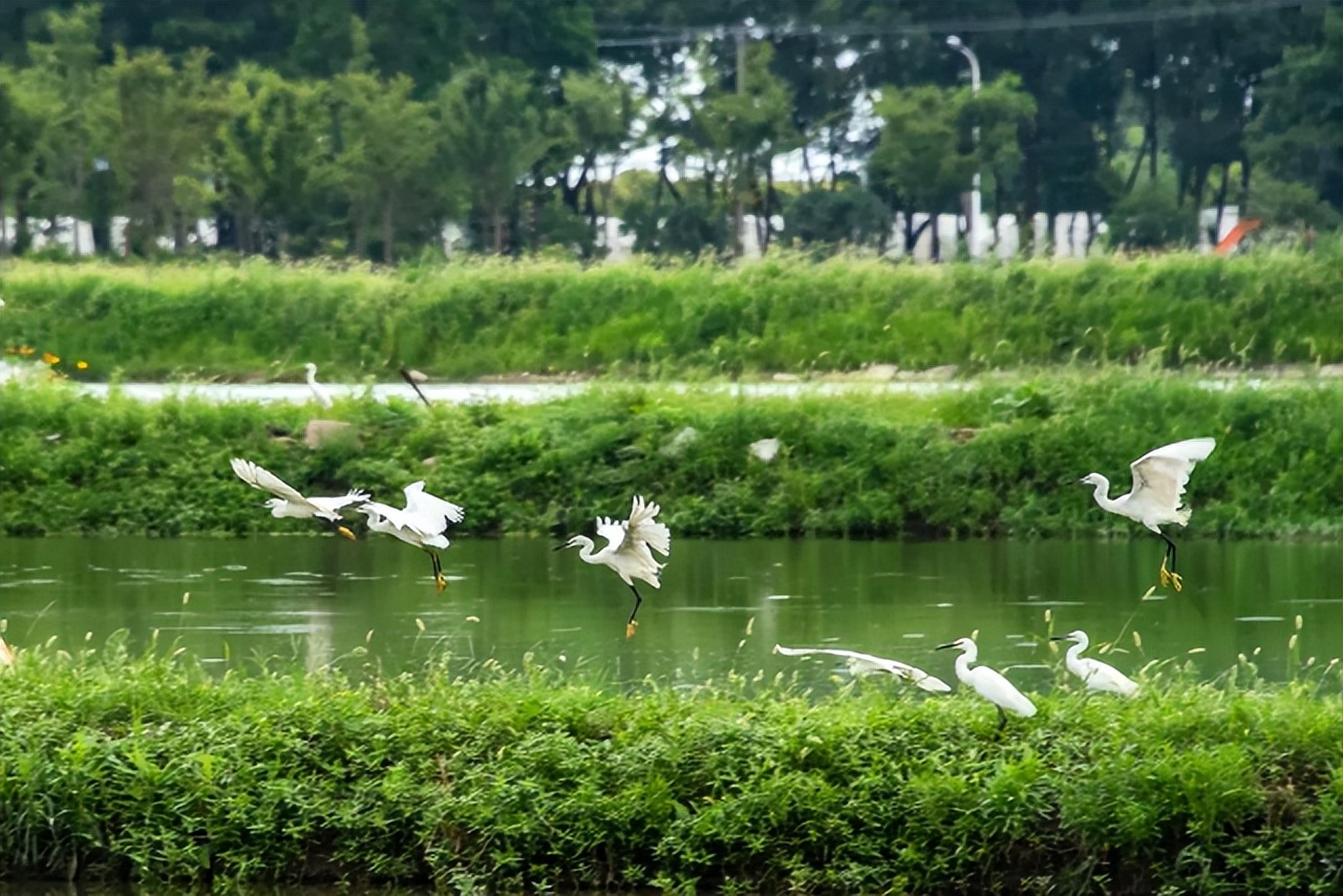 空气质量改善的数据对比图中国,全国空气质量改善幅度城市排名