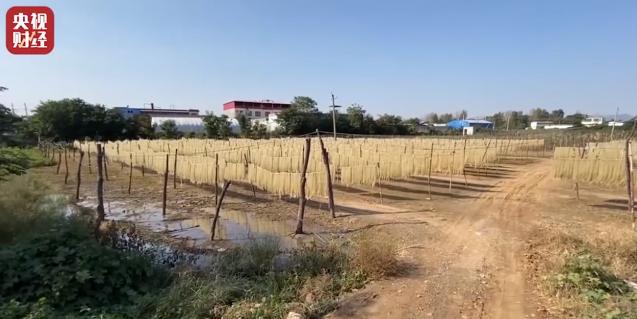 脚踩土坑酸菜？厕所风味粉条？315照妖镜这次又照出了谁？